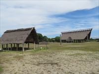 池上曽根史跡公園