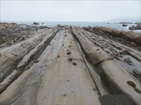 竜串海岸 大竹小竹