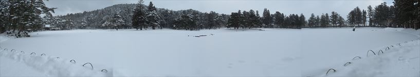 毛毬寺 浄土庭園